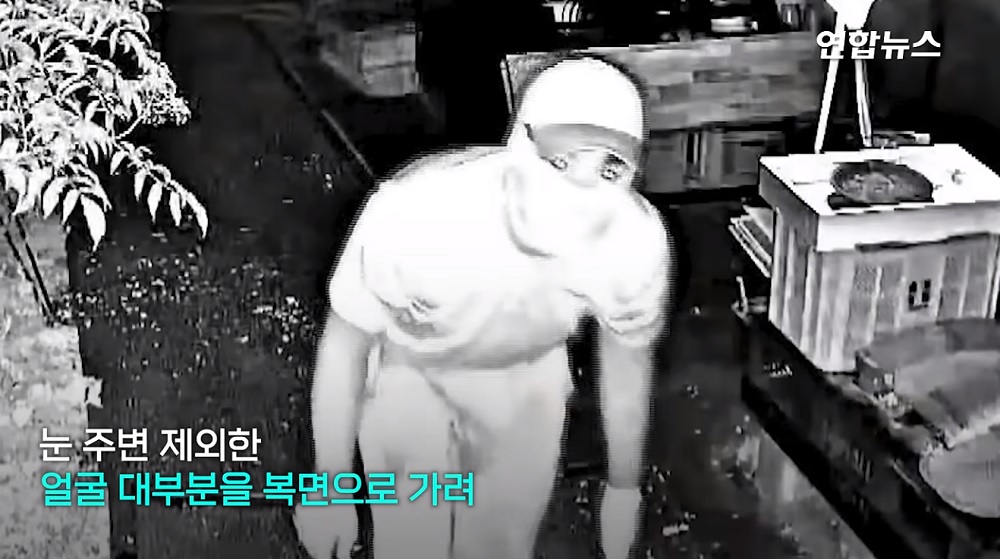 시골은 왠만하면 개 키우는게 좋을듯...