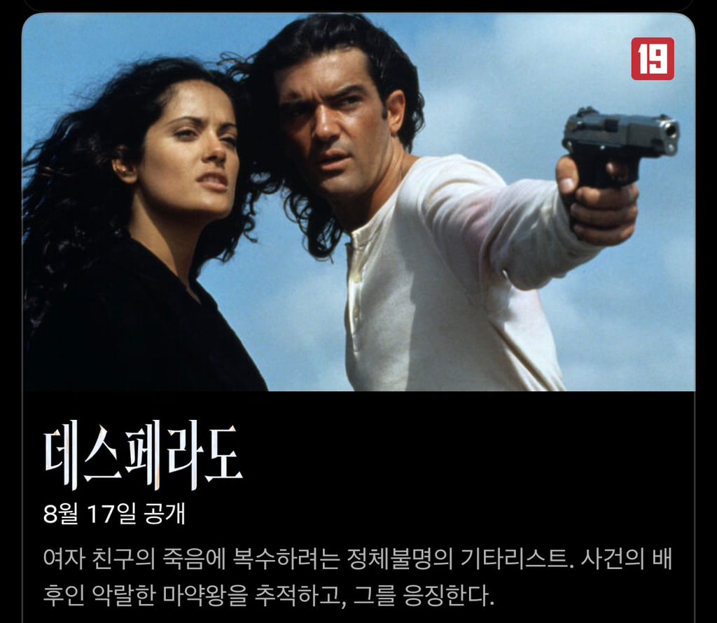 넷플릭스 8월 신작🔥