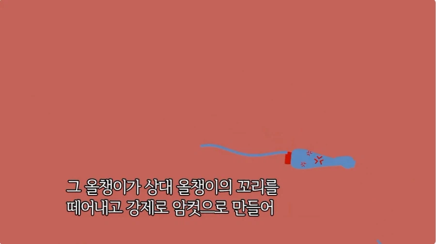 2차 창작 모호들이 환호할만한 세계관