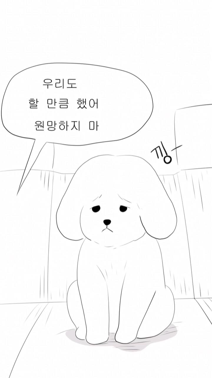 [인스타툰] 초코야 미안해