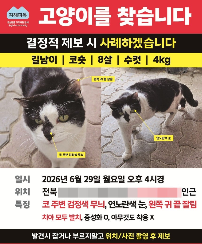 전주서 익산까지…22일 만에 가족 품으로 돌아온 고양이의 기적