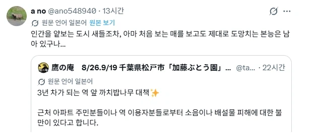 사람을 무서워하지 않는 새들을 쫓아내는 방법