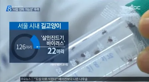 ‘삵에서도 나왔다’ 고양이 SFTS 위험 주목