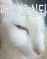 교황 이름의 비밀;;;;; feat. 베드로
