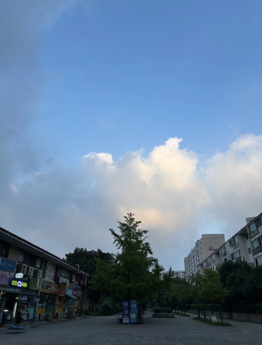 휴일 런닝완료 동네 방송국샷