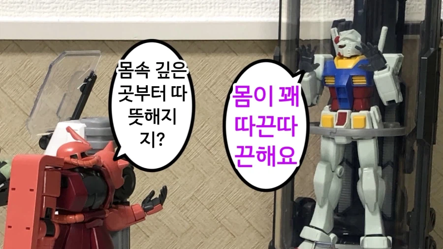 건담 납치 감금 실험