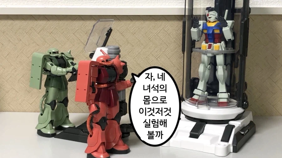 건담 납치 감금 실험