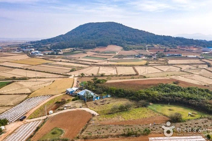 한반도에서 호남 지역에 황토 지대가 많은 이유는 무엇인가?