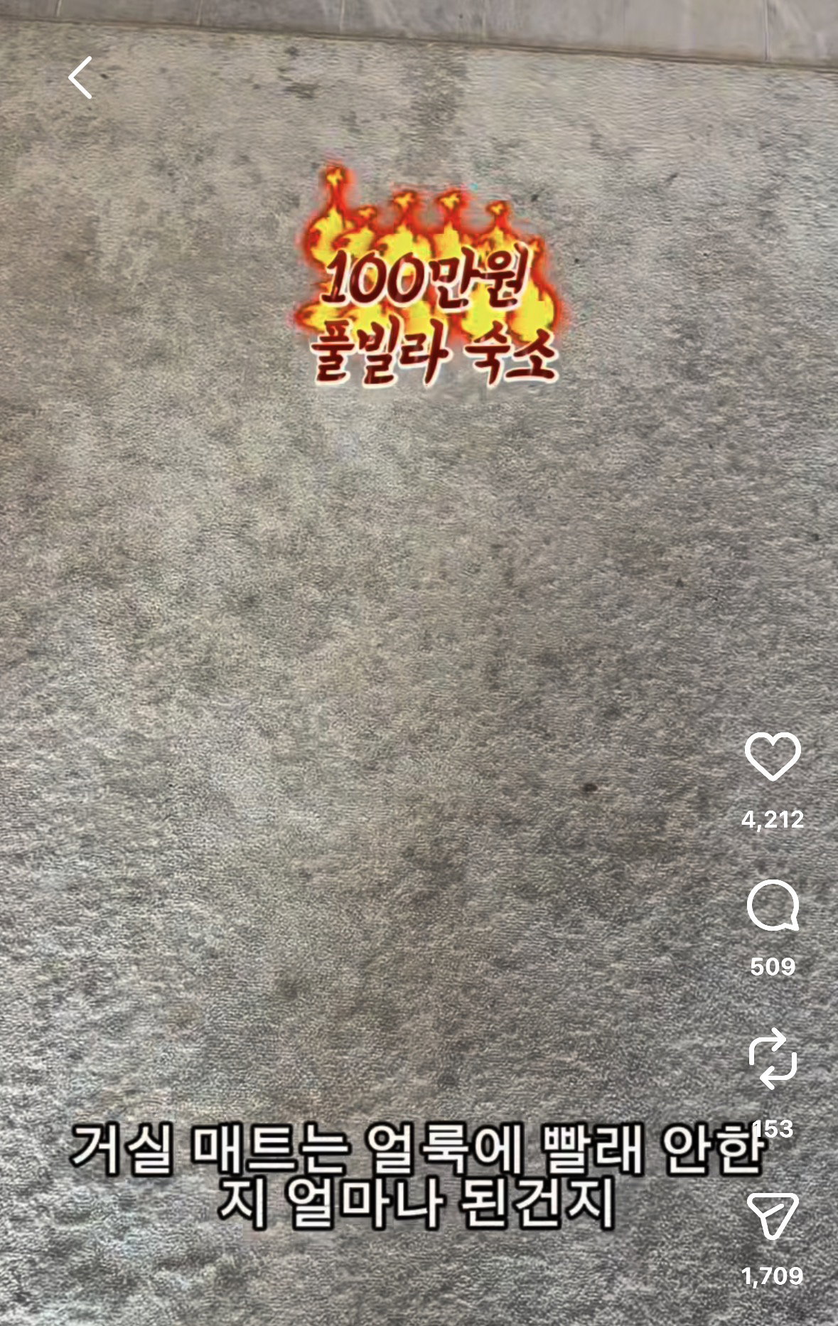 인스타에서 난리난 100만원짜리 풀빌라 숙소