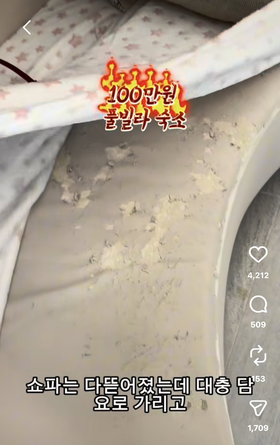 인스타에서 난리난 100만원짜리 풀빌라 숙소