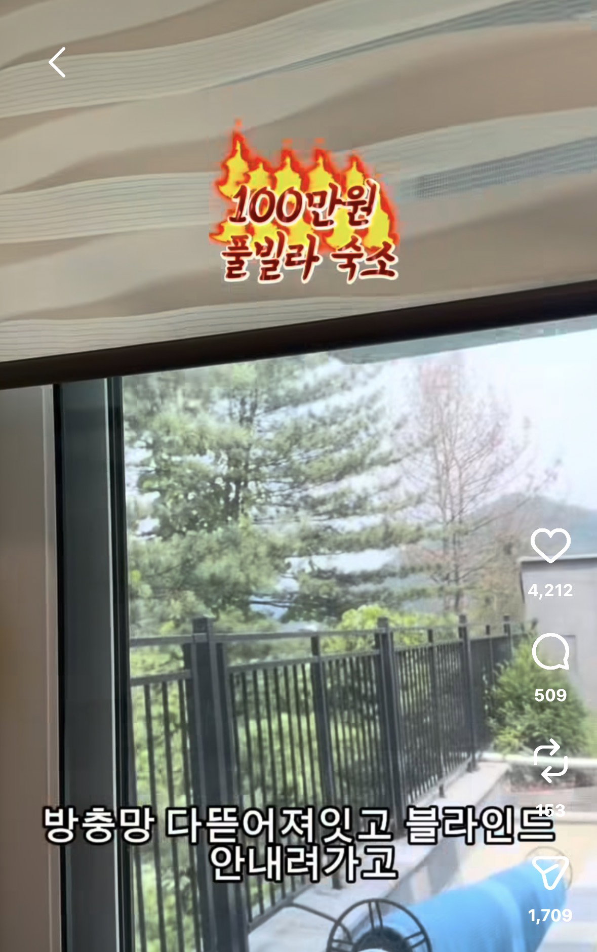인스타에서 난리난 100만원짜리 풀빌라 숙소