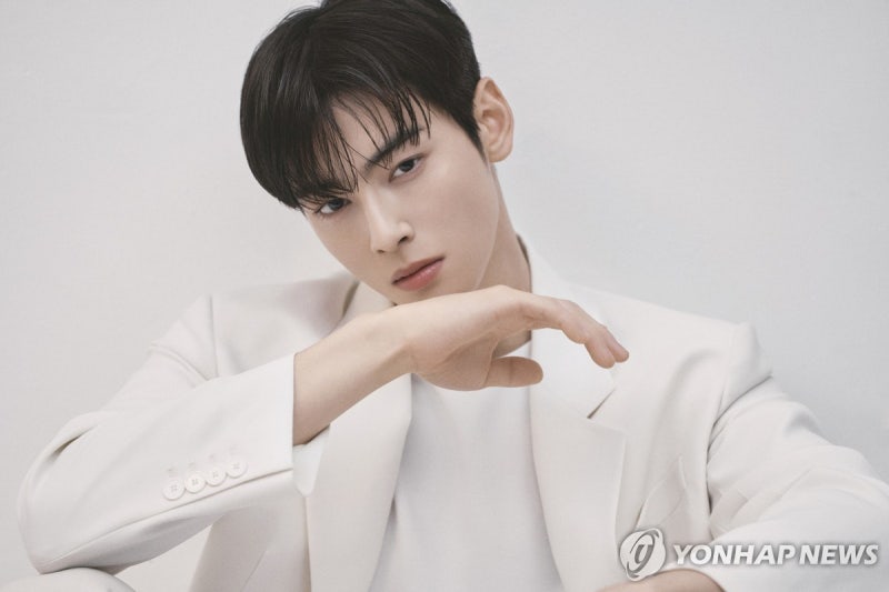 [단독]차은우 “130억 세금 냈지만 억울하다”…‘불복청구’