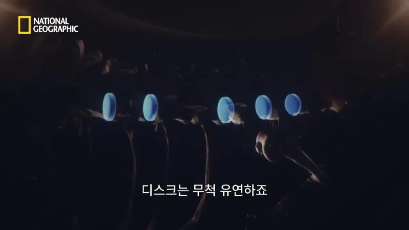 사냥 중 120m 절벽 아래로 떨어진 눈표범 jpg