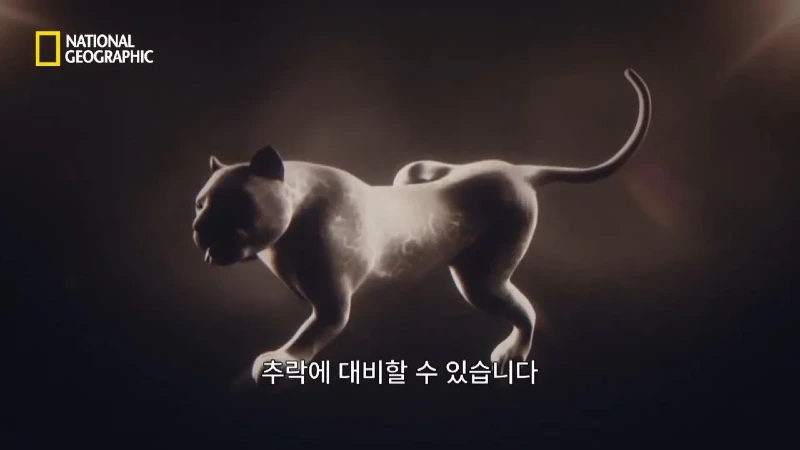 사냥 중 120m 절벽 아래로 떨어진 눈표범 jpg