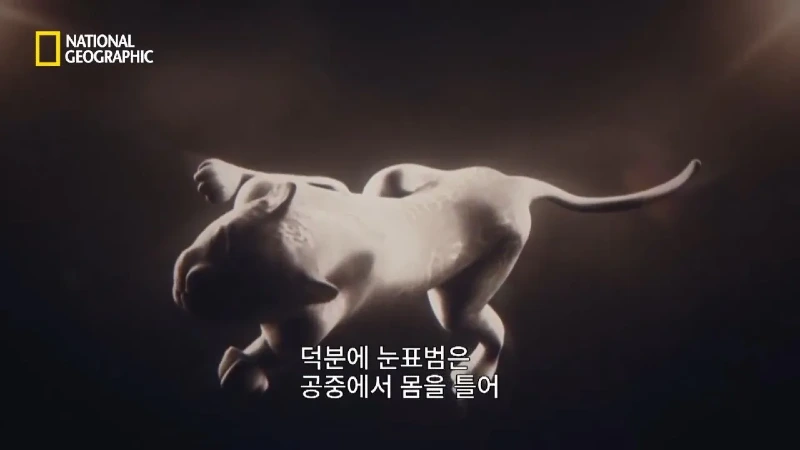 사냥 중 120m 절벽 아래로 떨어진 눈표범 jpg