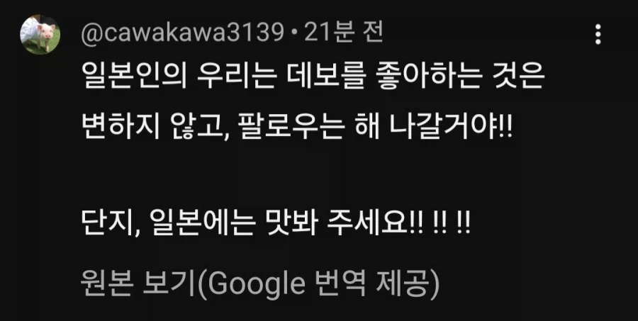 의외로 일본 유튜버 시장에서 레드오션인거