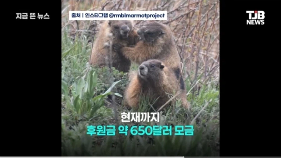온리팬스 가방끈 최신 근황