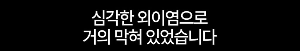 궁금한이야기y에는 나오지 않았던 강아지 나래의 진짜 이야기