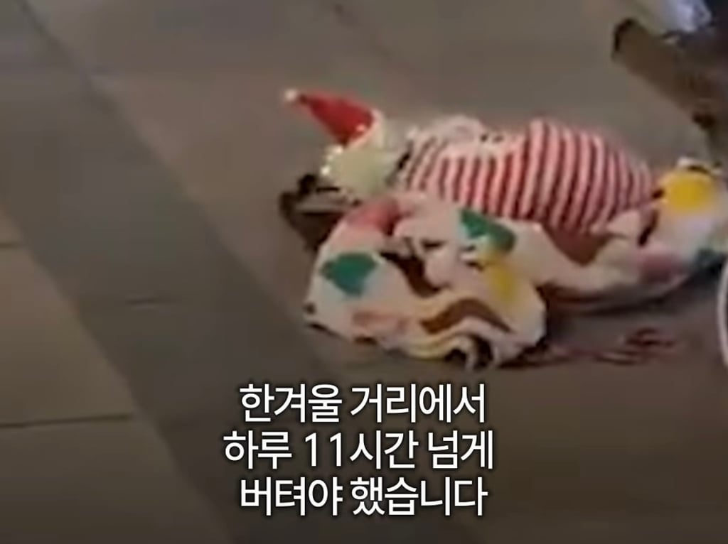 궁금한이야기y에는 나오지 않았던 강아지 나래의 진짜 이야기