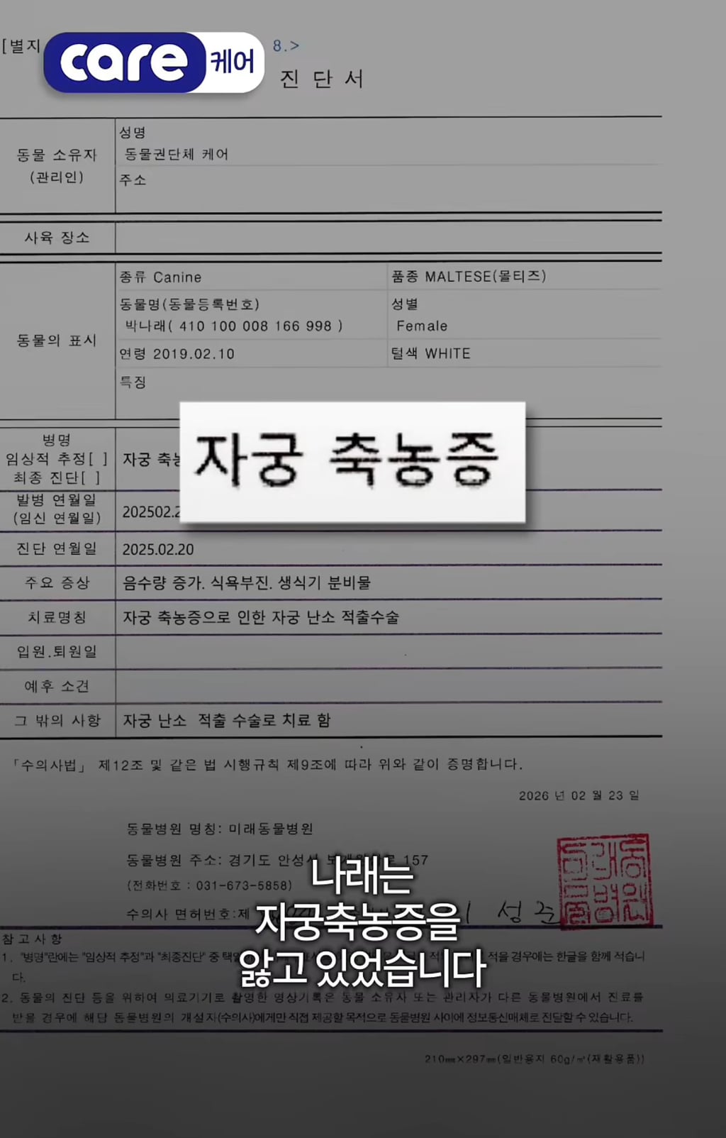 궁금한이야기y에는 나오지 않았던 강아지 나래의 진짜 이야기