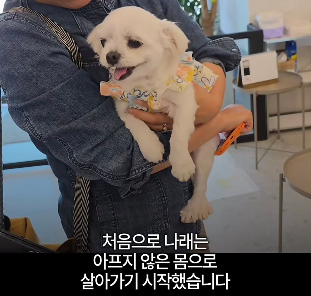 궁금한이야기y에는 나오지 않았던 강아지 나래의 진짜 이야기