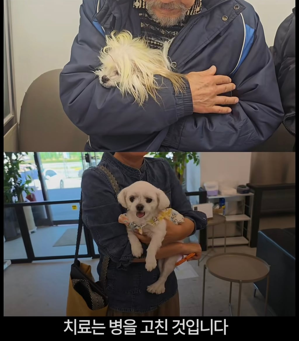궁금한이야기y에는 나오지 않았던 강아지 나래의 진짜 이야기