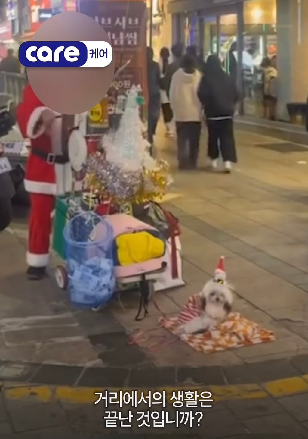 궁금한이야기y에는 나오지 않았던 강아지 나래의 진짜 이야기