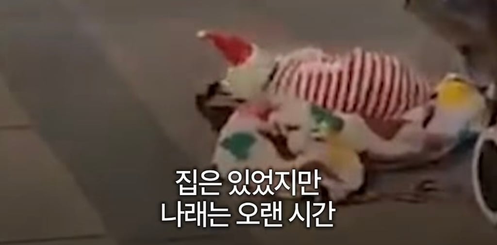 궁금한이야기y에는 나오지 않았던 강아지 나래의 진짜 이야기