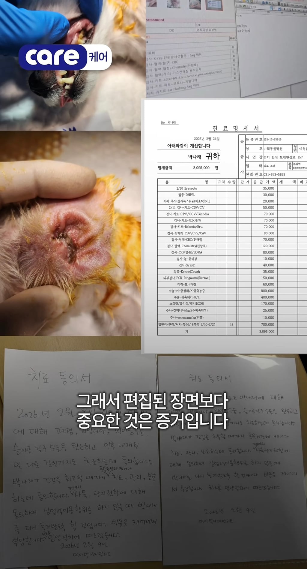 궁금한이야기y에는 나오지 않았던 강아지 나래의 진짜 이야기