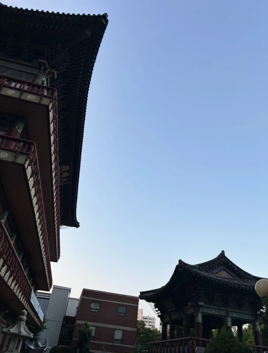 아침 런닝완료 동네 방송국샷