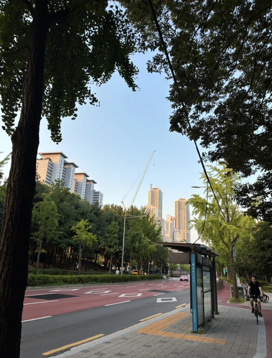 아침 런닝완료 동네 방송국샷