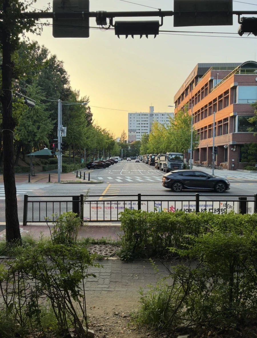 아침 런닝완료 동네 방송국샷