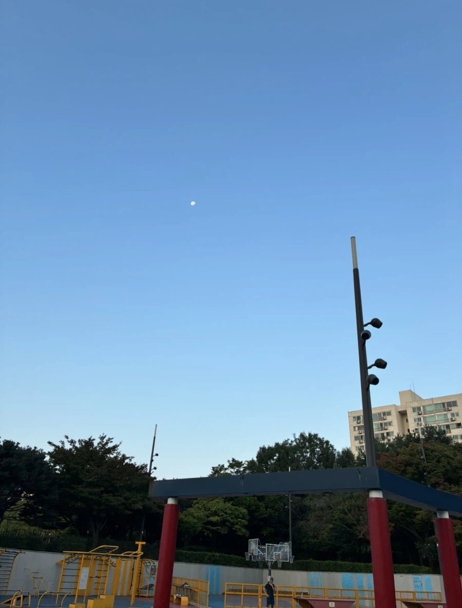 아침 런닝완료 동네 방송국샷
