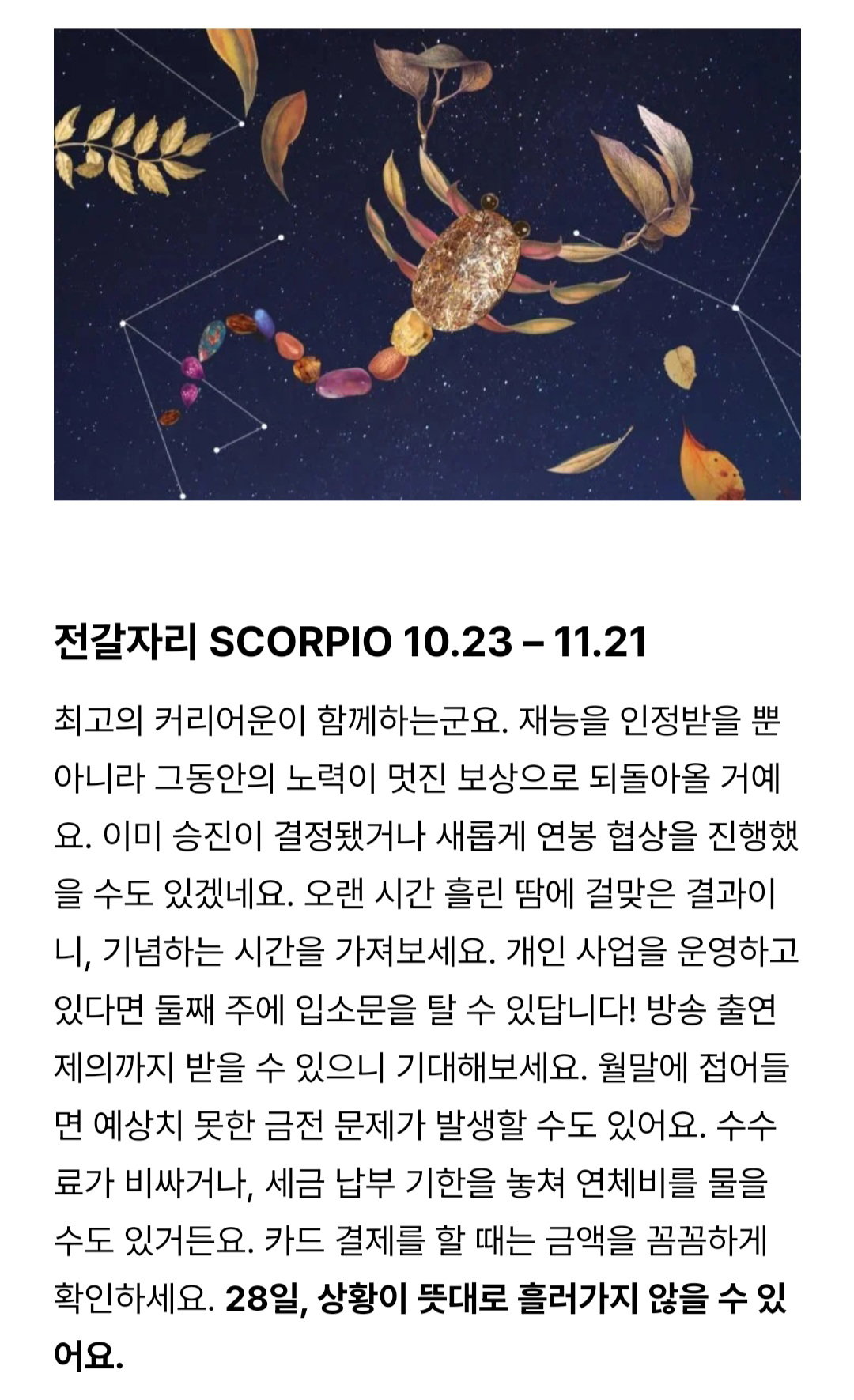 w코리아 8월 운세 🍀