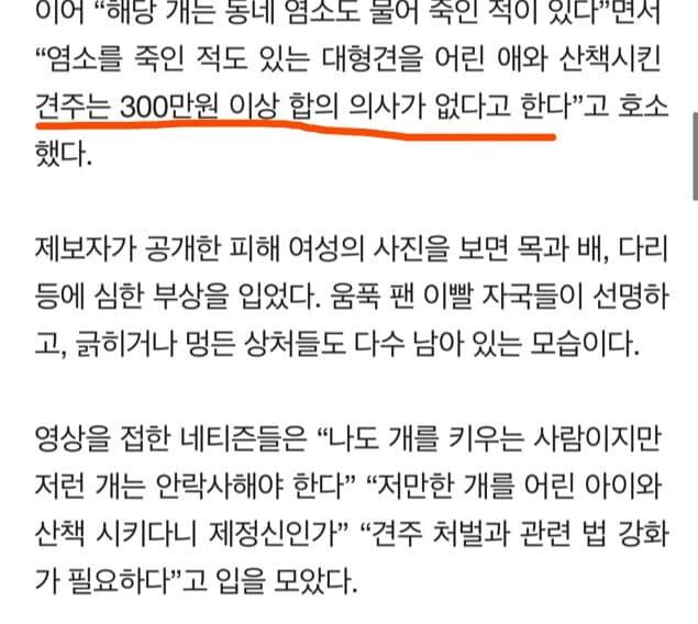 약혐 ) 대형견 개물림 사고