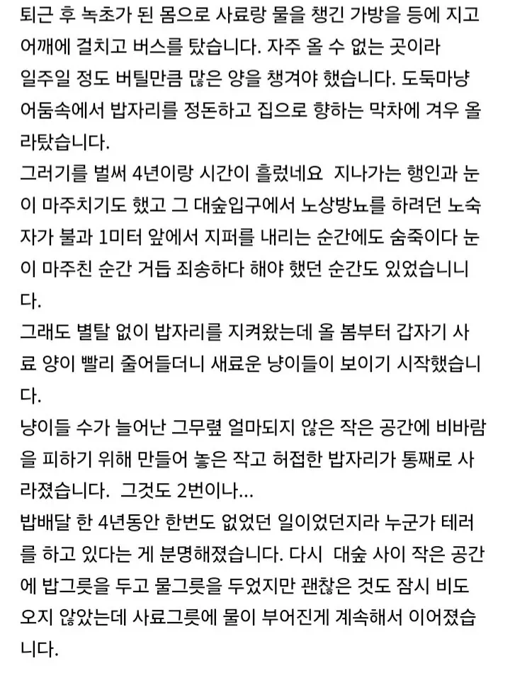 타지에서 8년간 밥 주다 최후 통첩 받은 캣맘
