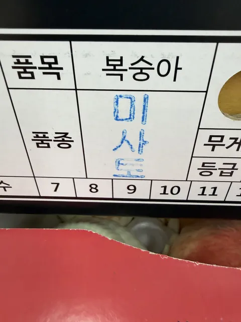 미사토!!