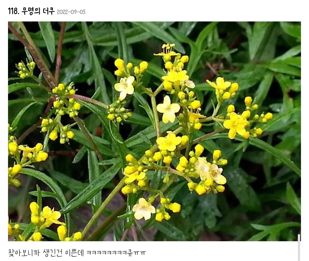 나 한의사인데 내가 지은 약먹고 차에 토한적 있음.....