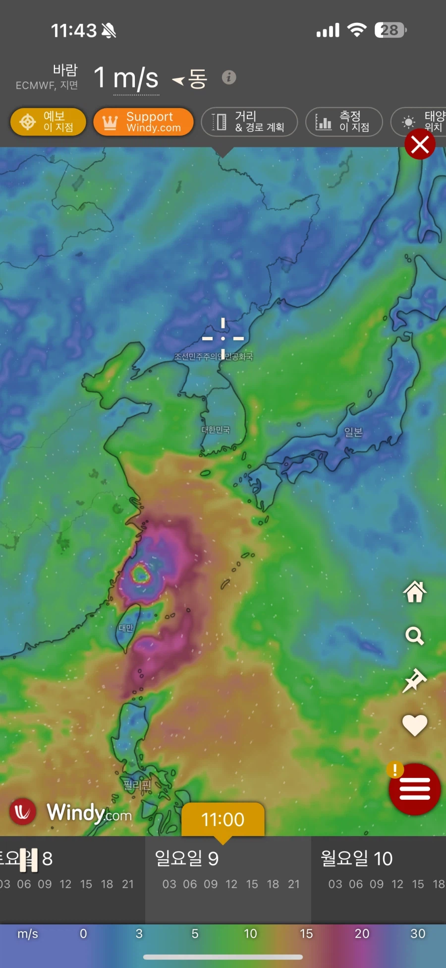 돌핀 이새1끼 뭐냐