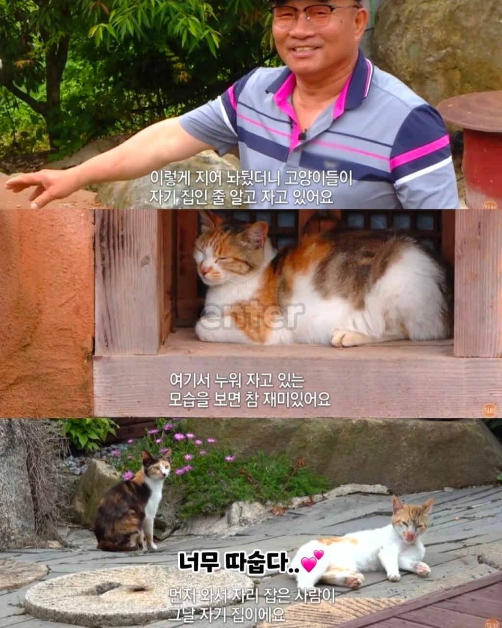 길냥이들에게 열심히 만든 황토집 내줬다는 아저씨의 이유