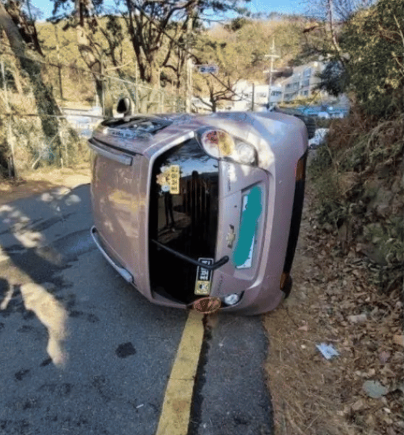 면허 따고 2주 만에 경차 산 사람의 최후
