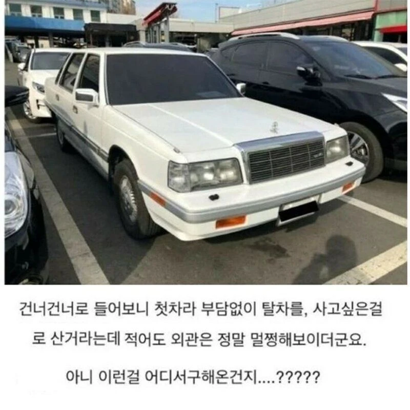 신입이 그랜저 끌고와서 난리난 회사