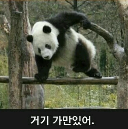 신입이 그랜저 끌고와서 난리난 회사