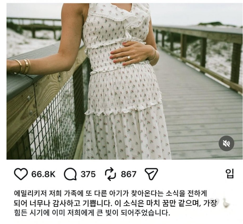 미국에서 욕먹고 있는 유명 육아 인플루언서