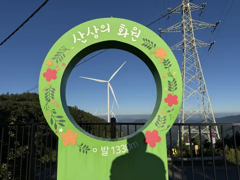 새벽에 피서 왔어요