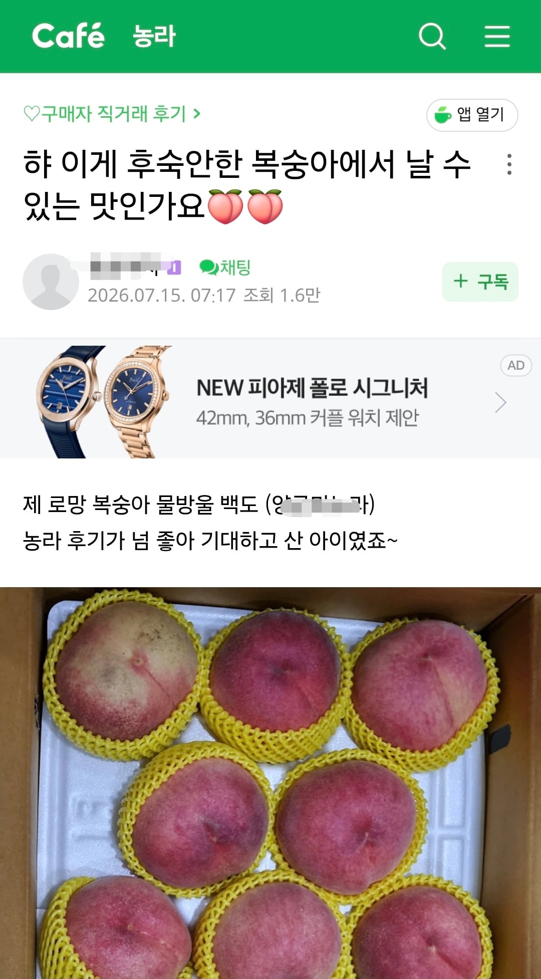 소비자 불만 나오는 중인 농라 카페 복숭아 가격