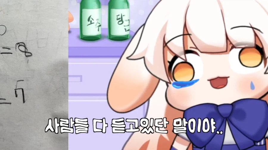 버튜버) 라디유의 수학 실력을 증언하는 라디유의 어머니.jpg