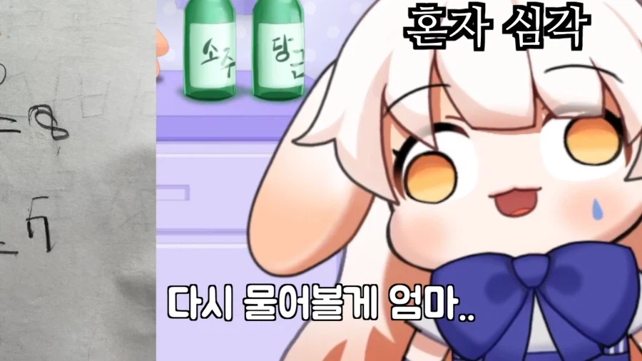 버튜버) 라디유의 수학 실력을 증언하는 라디유의 어머니.jpg