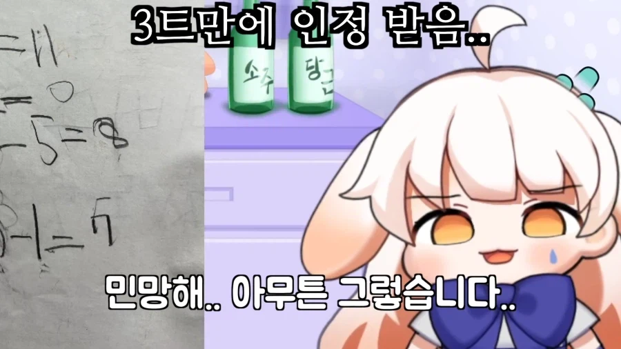 버튜버) 라디유의 수학 실력을 증언하는 라디유의 어머니.jpg