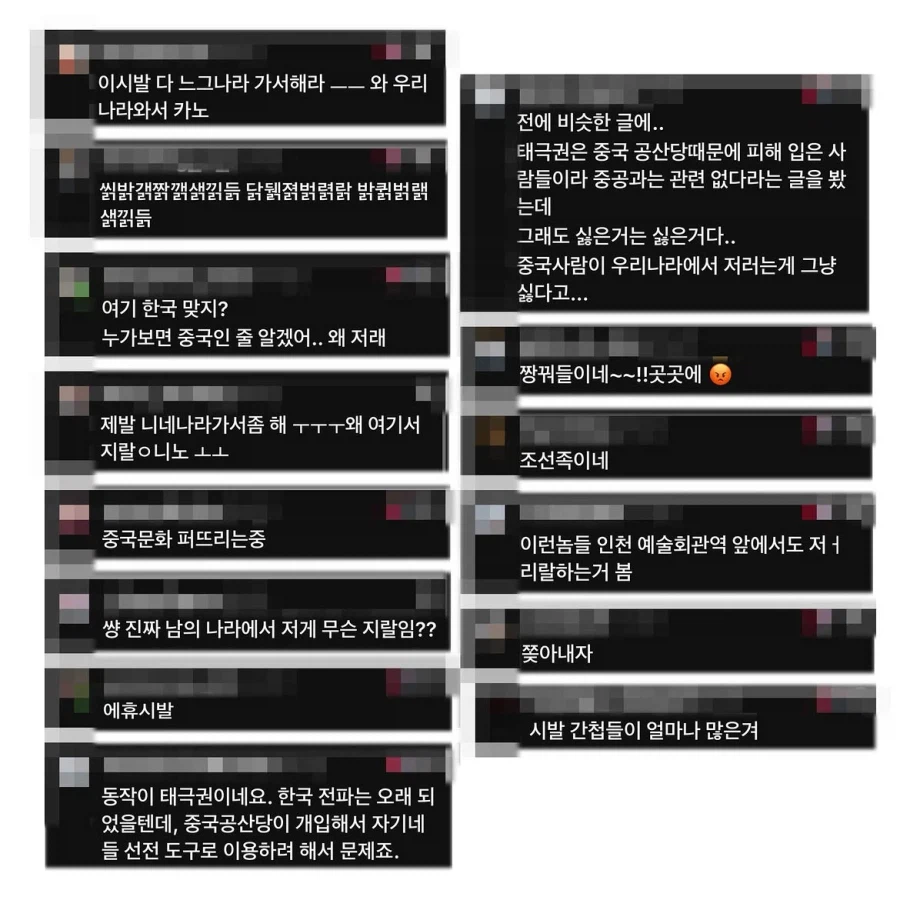 변호사가 참가하는 태극권 모임을 중국인이라 올린 악플.manwha